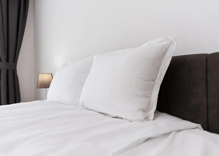 Modern 1-Bedroom Apartments