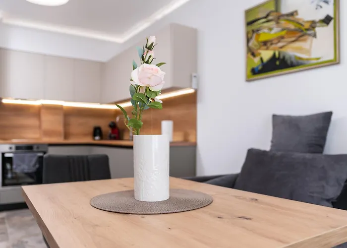 Modern 1-Bedroom Apartments